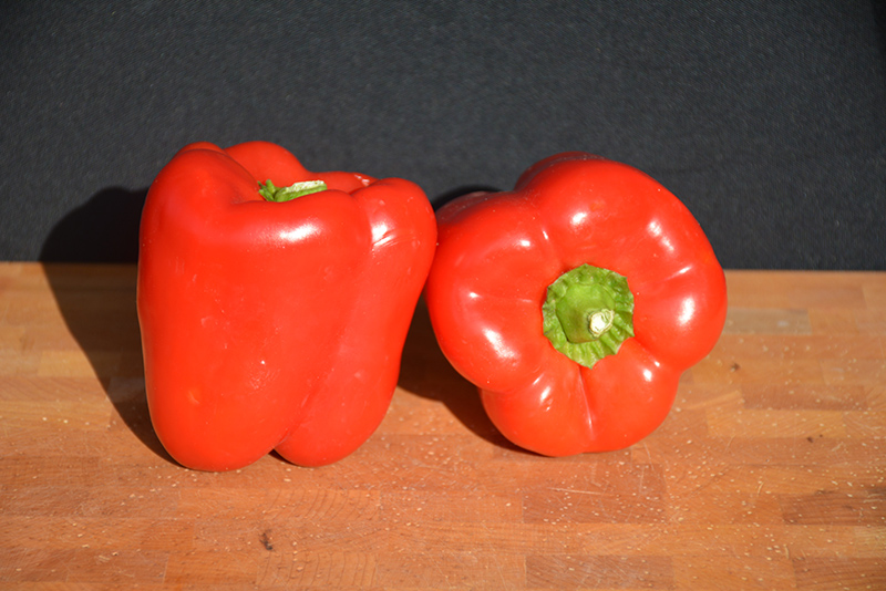 Big Red Sweet Pepper (Capsicum annuum 'Big Red') at Bast Brothers Garden Center