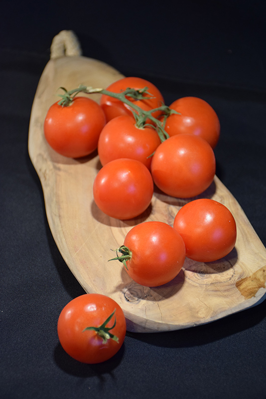 Large Red Cherry Tomato (Solanum lycopersicum 'Large Red Cherry') at Bast Brothers Garden Center